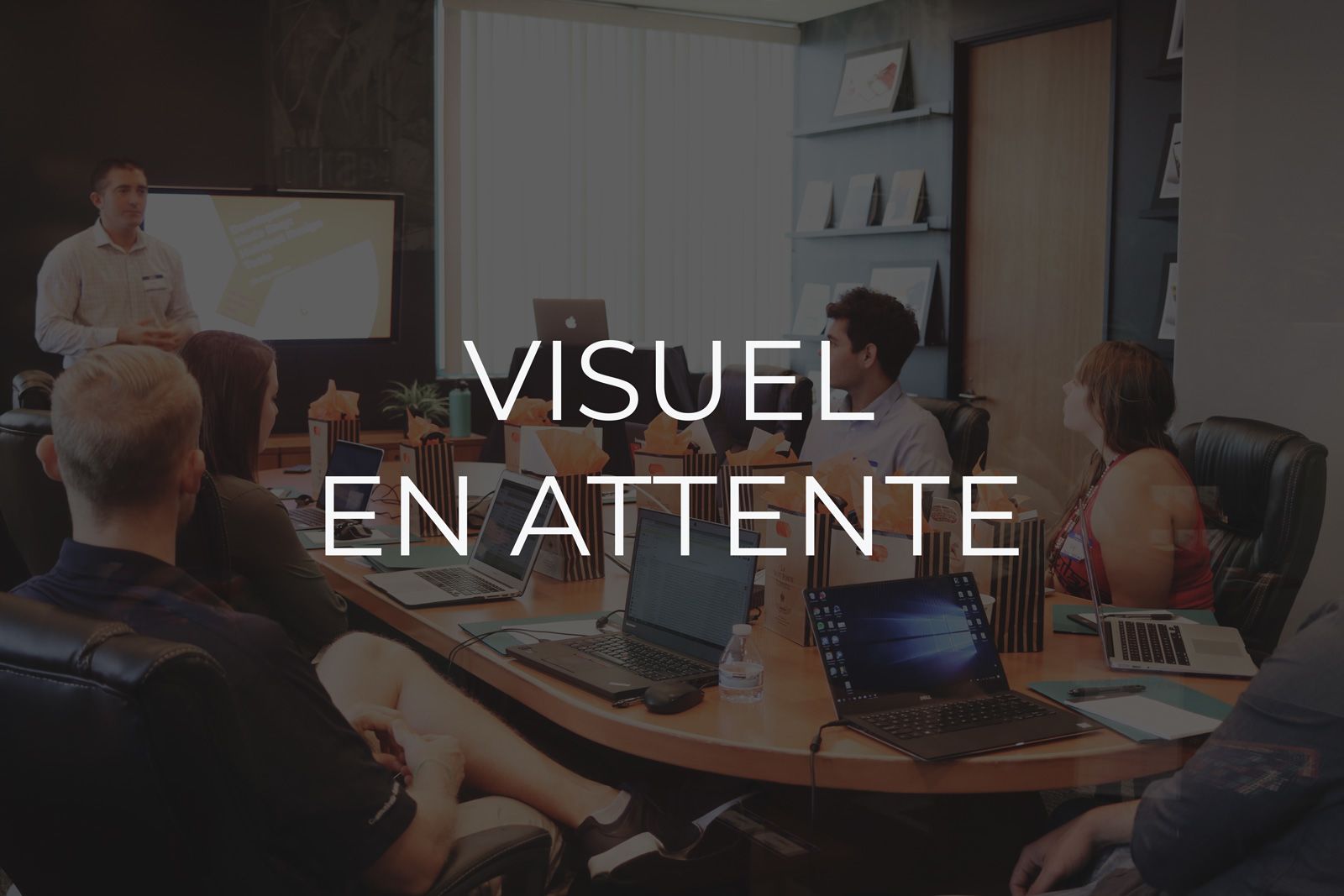 Cheval en Terre de Sèvre