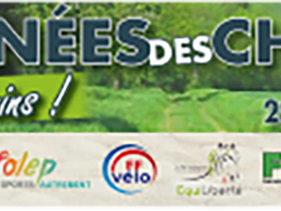 texte alternatif a remplacer